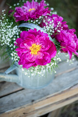 Blumenstrauß mit pinken Pfingstrosen und Schleierkraut, frische Blumen dekoriert in einer alten Vintage Gießkanne aus Metall, Landhaus Dekoration, Bauerngarten