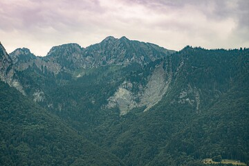 Naklejka premium landscape in the beautiful morning