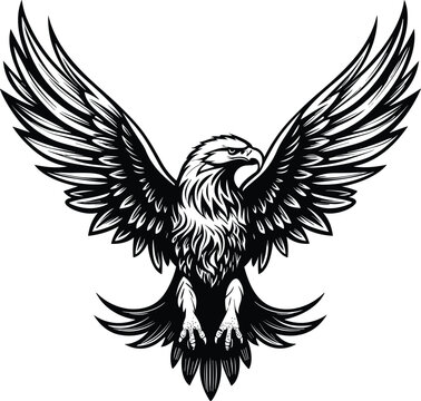 eagle vector illustration design