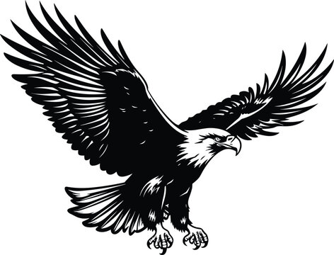 eagle vector illustration design