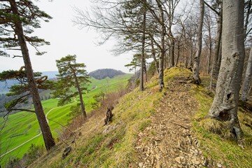 Fototapeta na wymiar ridge hike on the vogelberg in the canton of solothurn in switzerland. 