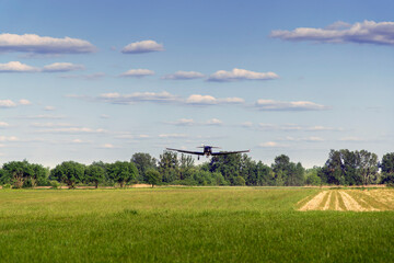 Fototapeta na wymiar A small plane lands on a grass airstrip