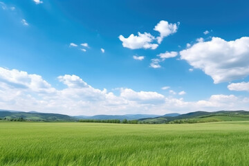 Obraz premium Serene Panoramic Landscape: Green Grass Field, Blue Sky, and Majestic Mountains