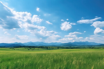 Obraz premium Serene Panoramic Landscape: Green Grass Field, Blue Sky, and Majestic Mountains