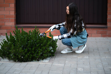 young female gardener taking care of a pine tree on backyard