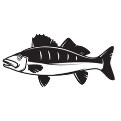 Illustration of pikeperch fish. Design elements