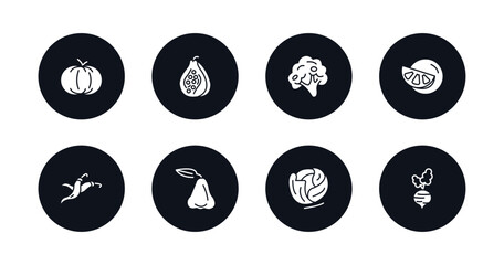 symbol for mobile filled icons set. filled icons such as pumpkin, papaya, broccoli, grapefruit, chili, rose, cabbage, beetroot vector.