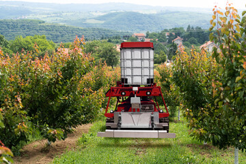Autonomous robot sprayer works in a fruit garden. Smart farming concept	