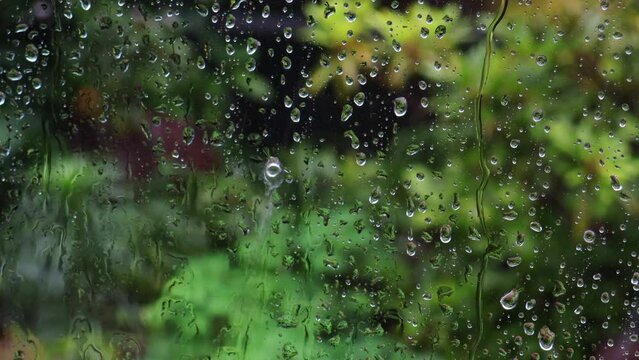 窓に当たる雨粒 背景は植物