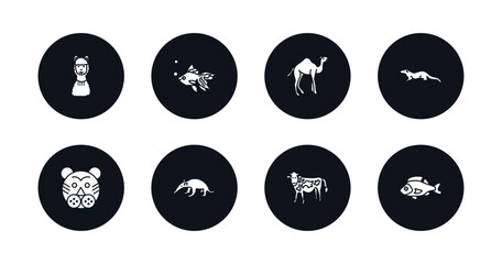 symbol for mobile filled icons set. filled icons such as llama, gold fish, camel, mink, tiger, ant eater, cow, perch vector.