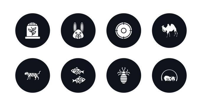 symbol for mobile filled icons set. filled icons such as herpetarium, animal, hunt, camel facing left, smilodon, japan koi fish, louse, hibernation vector.