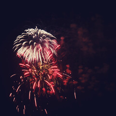 Bright colorful fireworks on the background of the black night sky