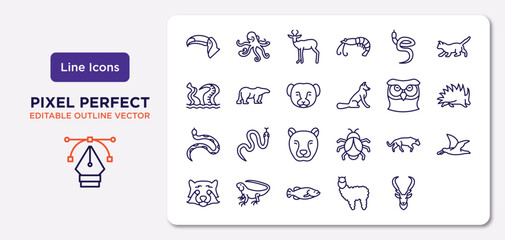 animals outline icons set. thin line icons such as big toucan, blindworm, weasel, copperhead, big bug, iguana, alpaca, elk vector.