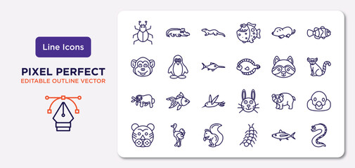 animals outline icons set. thin line icons such as mite, mole, swordfish, sloth, bear, squirrel, tuna, moray vector. © IconArt