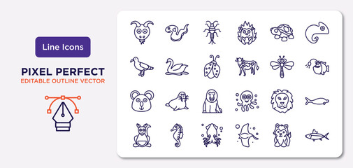 animals outline icons set. thin line icons such as goat, turtle, ladybug, koala, lion, squid, siberian husky, salmon vector.