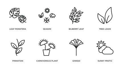 nature outline icons set. thin line icons such as leaf monstera, season, bilberry leaf, tree leave, pinnation, carnivorous plant, ginkgo, sunny protic vector.