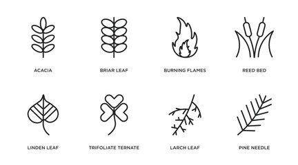 nature outline icons set. thin line icons such as acacia, briar leaf, burning flames, reed bed, linden leaf, trifoliate ternate, larch leaf, pine needle vector.