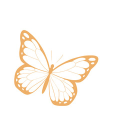 butterfly and flower