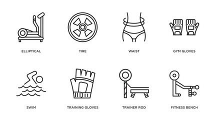 gym equipment outline icons set. thin line icons such as elliptical, tire, waist, gym gloves, swim, training gloves, trainer rod, fitness bench vector.