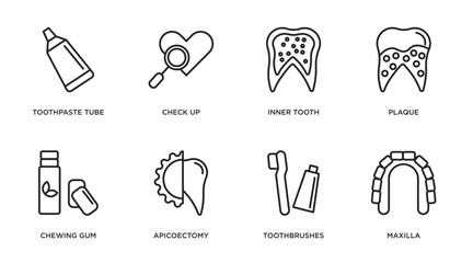 dentist outline icons set. thin line icons such as toothpaste tube, check up, inner tooth, plaque, chewing gum, apicoectomy, toothbrushes, maxilla vector.