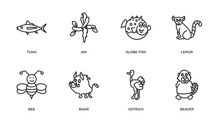 animals outline icons set. thin line icons such as tuna, aw, globe fish, lemur, bee, boar, ostrich, beaver vector.