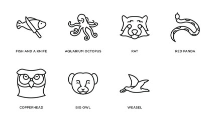 animals outline icons set. thin line icons such as fish and a knife, aquarium octopus, rat, red panda, copperhead, big owl, weasel, albatross vector.