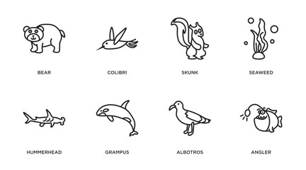 animals outline icons set. thin line icons such as bear, colibri, skunk, seaweed, hummerhead, grampus, albotros, angler vector.