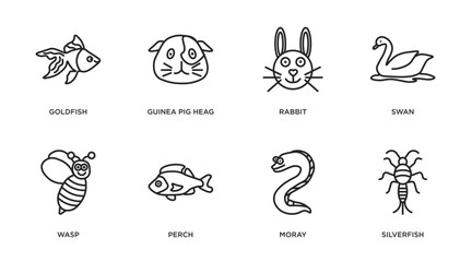 animals outline icons set. thin line icons such as goldfish, guinea pig heag, rabbit, swan, wasp, perch, moray, silverfish vector.