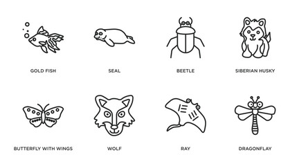 animals outline icons set. thin line icons such as gold fish, seal, beetle, siberian husky, butterfly with wings, wolf, ray, dragonflay vector.