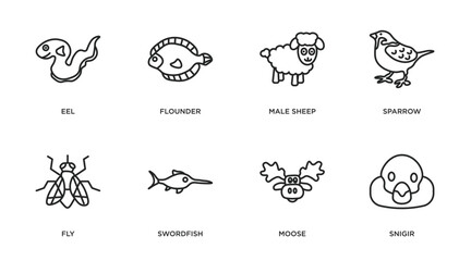 animals outline icons set. thin line icons such as eel, flounder, male sheep, sparrow, fly, swordfish, moose, snigir vector.