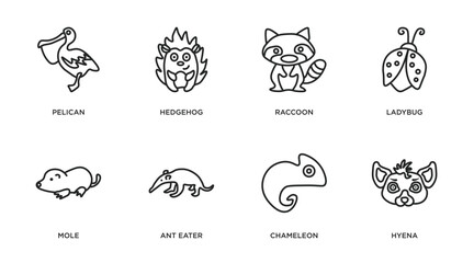 animals outline icons set. thin line icons such as pelican, hedgehog, raccoon, ladybug, mole, ant eater, chameleon, hyena vector.