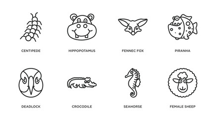 animals outline icons set. thin line icons such as centipede, hippopotamus, fennec fox, piranha, deadlock, crocodile, seahorse, female sheep vector.