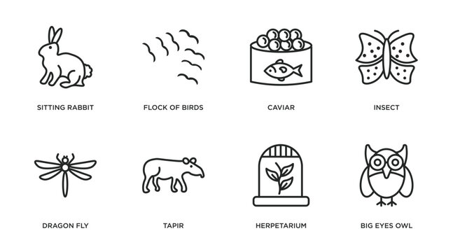 animals outline icons set. thin line icons such as sitting rabbit, flock of birds, caviar, insect, dragon fly, tapir, herpetarium, big eyes owl vector.