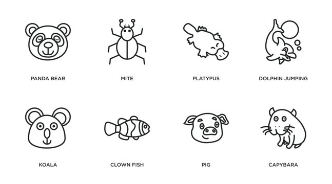animals outline icons set. thin line icons such as panda bear, mite, platypus, dolphin jumping, koala, clown fish, pig, capybara vector.
