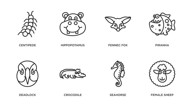 animals outline icons set. thin line icons such as centipede, hippopotamus, fennec fox, piranha, deadlock, crocodile, seahorse, female sheep vector.