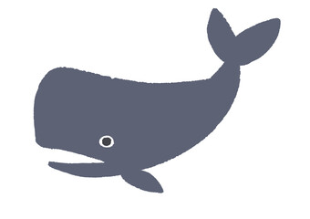 マッコウクジラ