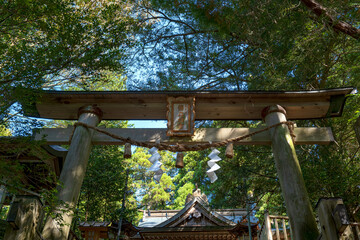 熊本 幣立神社 参道の鳥居