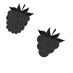 vector graphic. berry mockup.
big blackberry and little blackberry