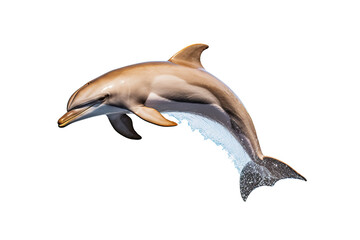 Fototapeta premium dolphin isolated white background PNG