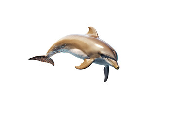 Fototapeta premium dolphin isolated white background PNG