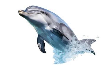 Fotobehang dolphin isolated white background PNG © JetHuynh