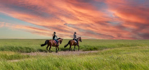 Fototapeten Horseback riding in the salt marshes North Sea © Animaflora PicsStock