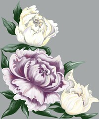 Illustration of peonies in delicate shades of lilac and yellow