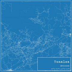 Blueprint US city map of Tonalea, Arizona.