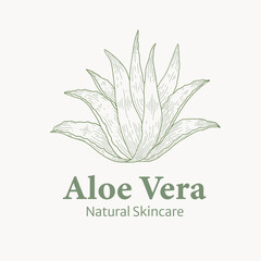 Aloe Vera Skincare Logo for Natural and Beauty Look
