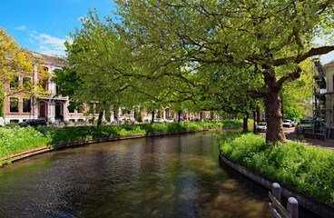 Canal with green leaves trees in Utrecht city. Famous touristic place and travel destination in the Netherlands. Sunny spring day. Famous touristic place and travel destination in the Netherlands