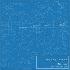 Blueprint US city map of Birch Tree, Missouri.