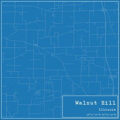 Blueprint US city map of Walnut Hill, Illinois.