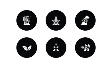 nature filled icons set. nature filled icons pack included fasciculate, liquidambar leaf, sunny protic, apricot leaf leaf, sprig with five leaves, briar vector.