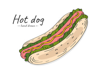 Vector hand drawn colorful hot dog illustration with lettuce, sausage with mustard.